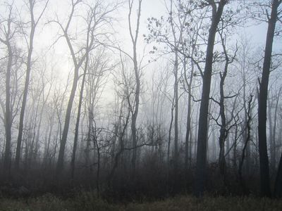 IMG_7297