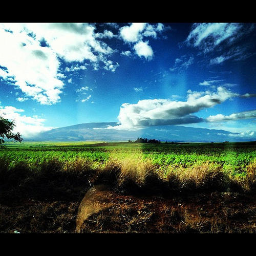 On the road to Hana.