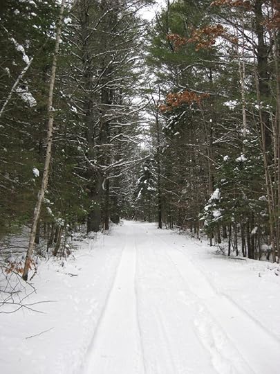 Scout Camp - Impeesa (25)