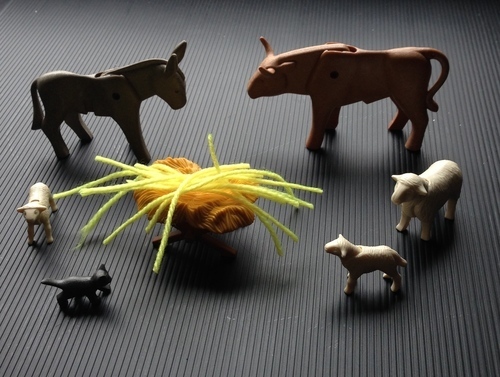 Photo by Sybil MacBeth