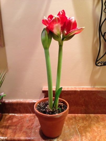 Photo by Sybil MacBeth