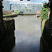 Deptford Creek and the Laban Centre