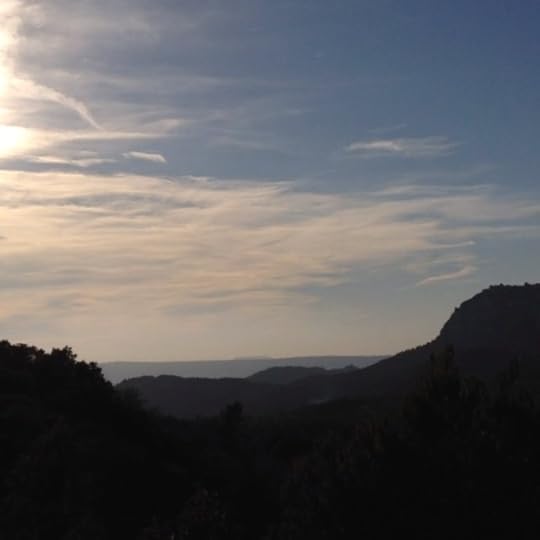 Video #life #video #nature