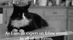 Henri_existential_cat