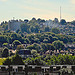Forest Hill from Nunhead