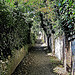 Brockley Footpath