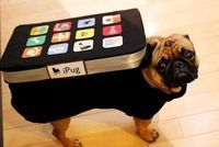 IPug