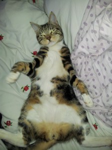 Marketing? Pfft, easy. Ignore it until it goes away.