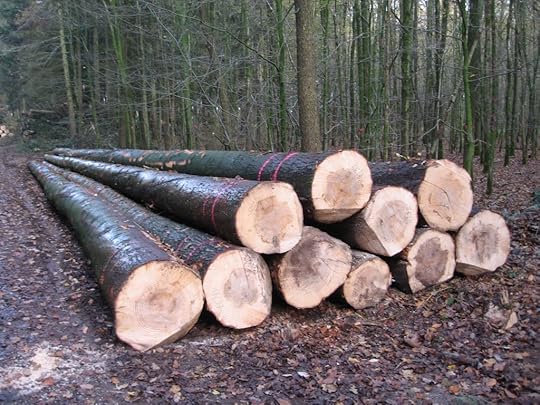 Westermark lumber