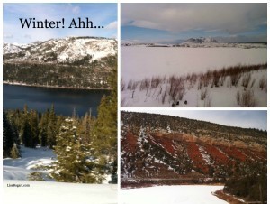 wintercollagewtype