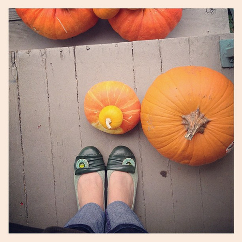 Hello Autumn. #pumpkins #mizmoozshoes