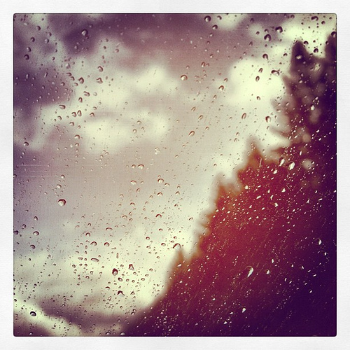 Rain makes everything feel like an adventure.