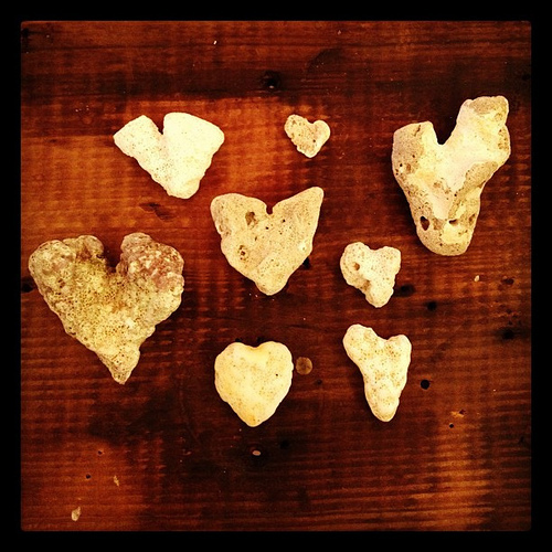 A few of the heart rocks found while on Maui