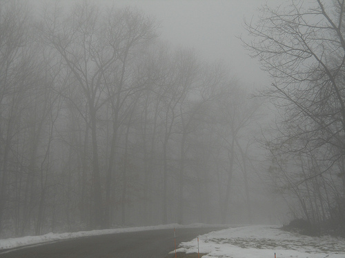 misty roads