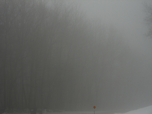 misty roads