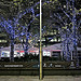 Illuminated trees in Canary Wharf