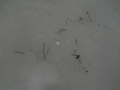 calligraphy in ice
