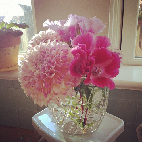 Picked these too. Dahlias are a fave.