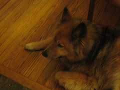 Abby