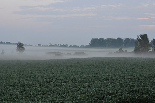 DSC_1710