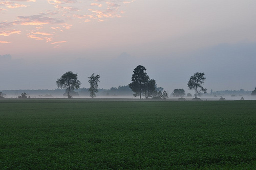 DSC_0001_2