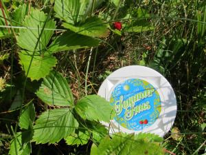 Smultronsnus