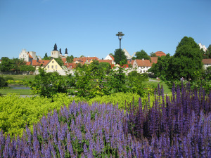 Almedalen