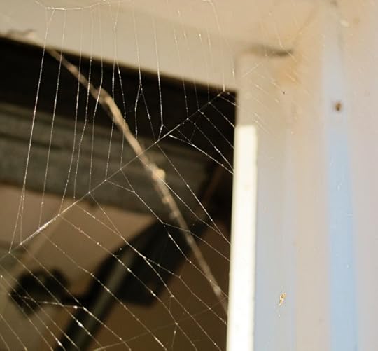 spider doorway