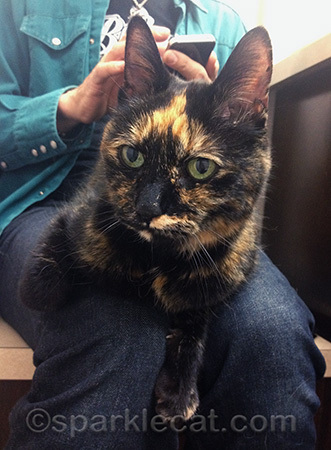 The humans were very worried about her!
