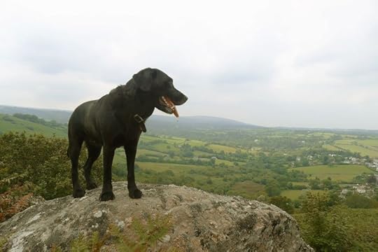 Queen of the Hill