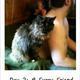 104136024 80 80 #BlogFlash2012: 30 Days, 30 Prompts, 30 Posts: #3 Colour