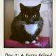 104058365 80 80 #BlogFlash2012: 30 Days, 30 Prompts, 30 Posts: #3 Colour