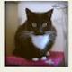 104137607 80 80 #BlogFlash2012: 30 Days, 30 Prompts, 30 Posts: #3 Colour