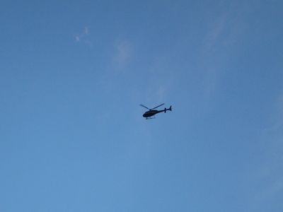IMG_6204