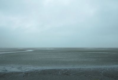 IMG_5594