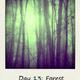 106337810 80 80 #BlogFlash2012: 30 Days, 30 Prompts, 30 Posts: #13 Forest