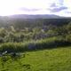 106483992 80 80 #BlogFlash2012: 30 Days, 30 Prompts, 30 Posts: #13 Forest