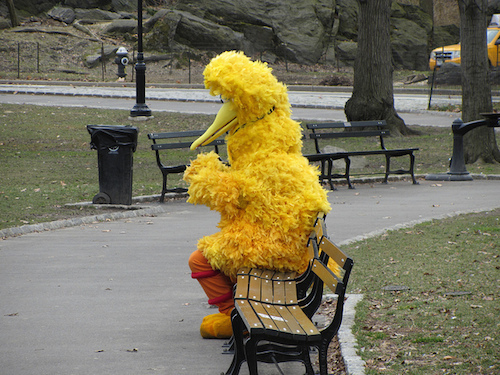 big bird.jpg