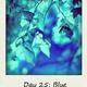 108801790 80 80 #BlogFlash2012: 30 Days, 30 Prompts, 30 Posts: #26 Seeing