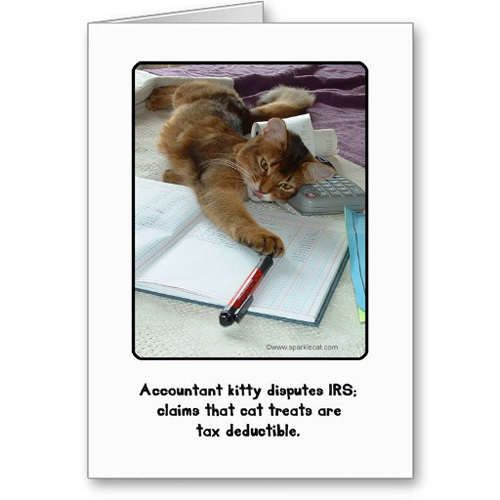 Accountant Kitty Greeting Card