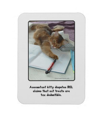Accountant Kitty Magnet