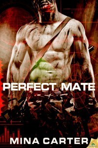 PerfectMate300