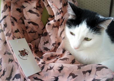 cat-print-scarf