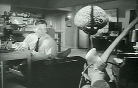 the mind is... brain