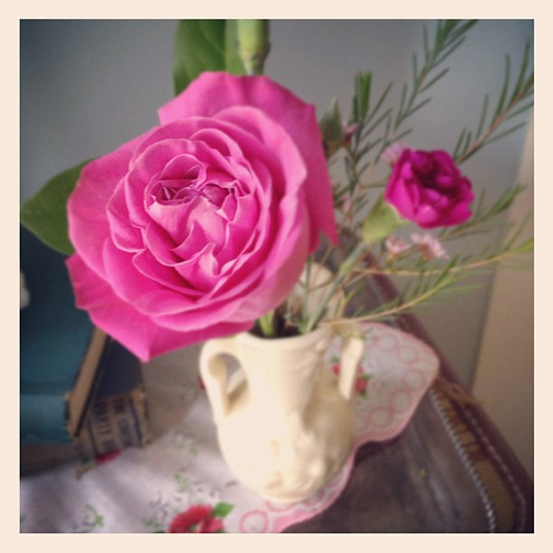 Hello pink. You are awesome.