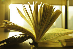 Image from theresaceniccola.com