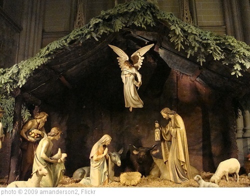 'Nativity Scene St Patrick's Cathedral' photo (c) 2009, amanderson2 - license: http://creativecommons.org/licenses/by/2.0/