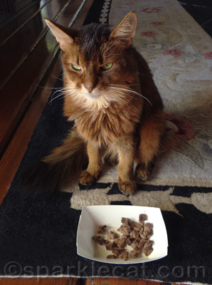 I do not approve of this blog post!