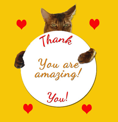 Thank you!