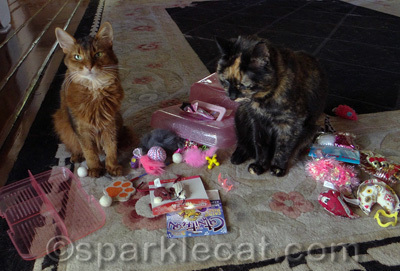 Oops! I wasn't expecting a house trashing party.